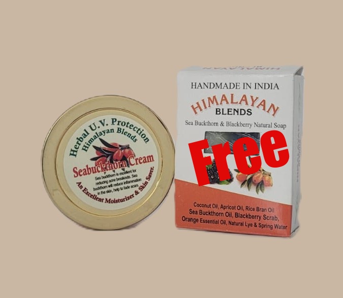 Himalayan Seabuckthorn Cream