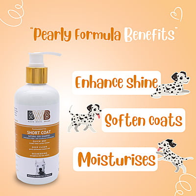 BWB SHORTCOAT SHAMPOO