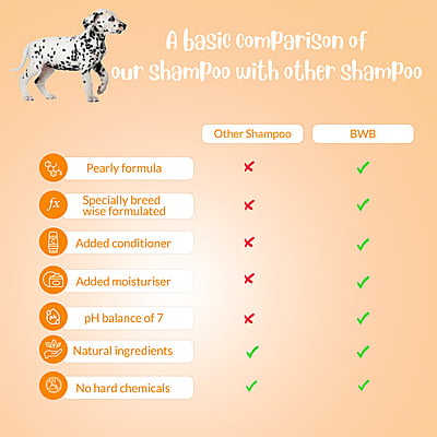 BWB SHORTCOAT SHAMPOO