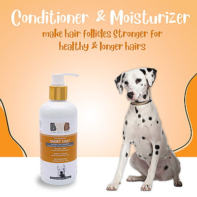 BWB SHORTCOAT SHAMPOO