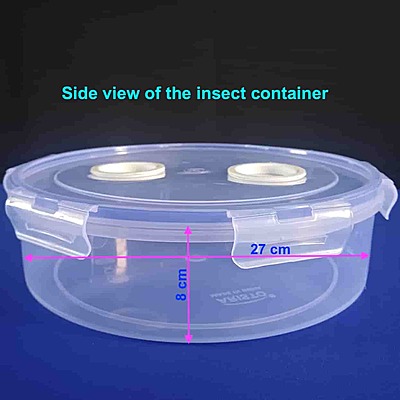 Insect Rearing Container Large 3lit with Double Aeration Holes and Secure Locking Lid Insect Rearing Container Large 3lit with Double Aeration Holes and Secure Locking Lid