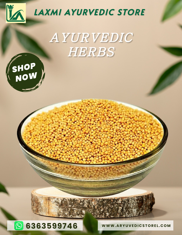 Bili Sasive- White mustard-Sinapis Alba Bili Sasive- White mustard-Sinapis Alba