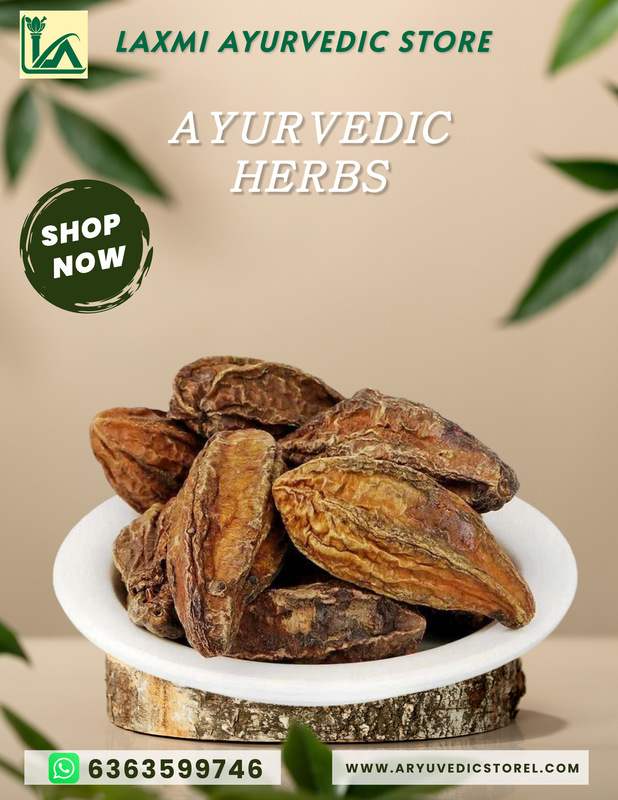 Anile Kayi-Haritaki – TERMINALIA CHEBULA Anile Kayi-Haritaki – TERMINALIA CHEBULA
