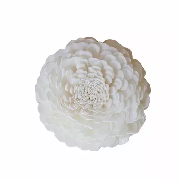 Handcrafted sola belli flower with natural ivory petals for eco-friendly décor, bouquets, and crafts Handcrafted sola belli flower with natural ivory petals for eco-friendly décor, bouquets, and crafts