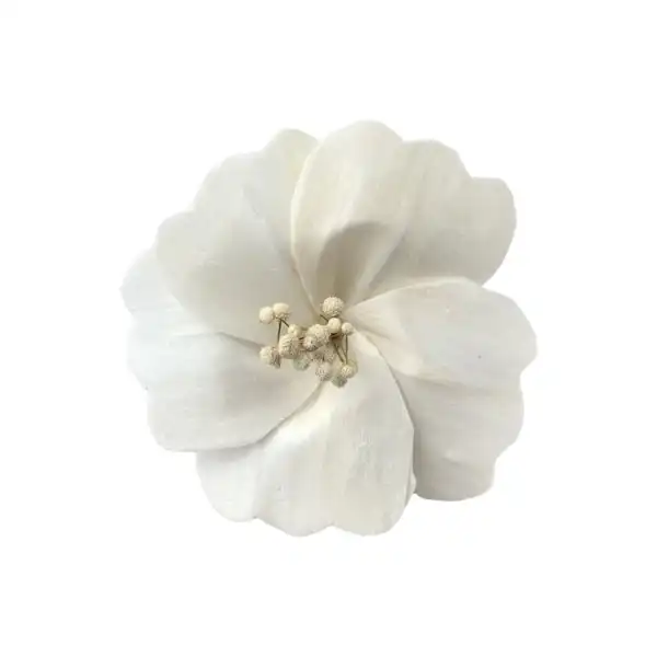 Sola Hibiscus Flower – handmade dry flower for decor by LeafnDeor Sola Hibiscus Flower – handmade dry flower for decor by LeafnDeor