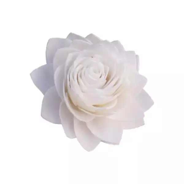Sola lotus flower in natural finish for eco-friendly crafts, decor, and wedding floral arrangements Sola lotus flower in natural finish for eco-friendly crafts, decor, and wedding floral arrangements