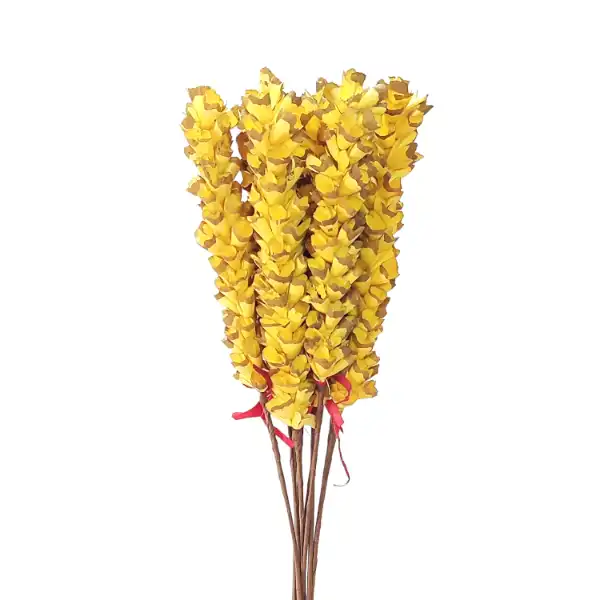 Yellow sola makka flower stick bunch for boho decor and tall vases by LeafnDeor