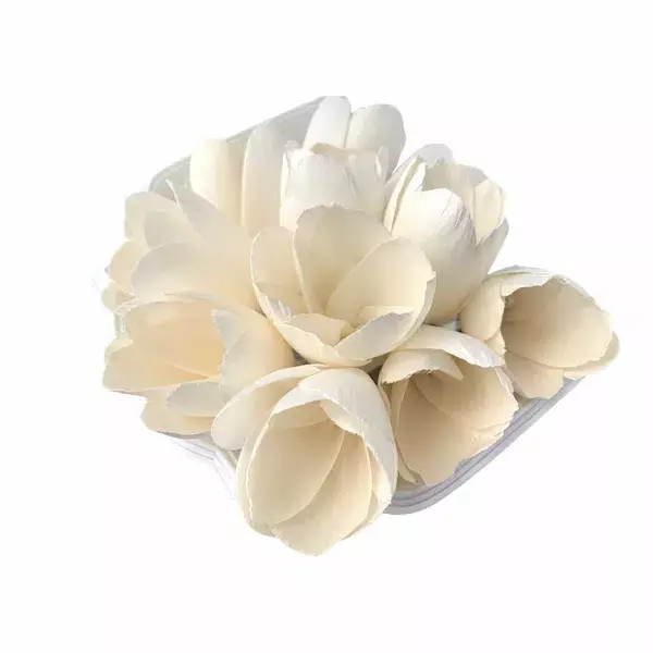 Handmade Sola Tulip Flower in 6cm & 8cm sizes for eco-friendly wedding bouquets and craft decoration Handmade Sola Tulip Flower in 6cm & 8cm sizes for eco-friendly wedding bouquets and craft decoration