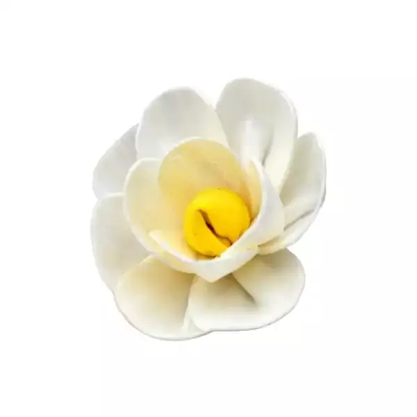 Bright yellow sola wood bird flowers for crafts, wedding arrangements, and eco-friendly floral decor Bright yellow sola wood bird flowers for crafts, wedding arrangements, and eco-friendly floral decor