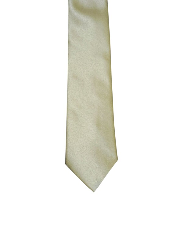 Golden Solid Microfiber Silk Necktie