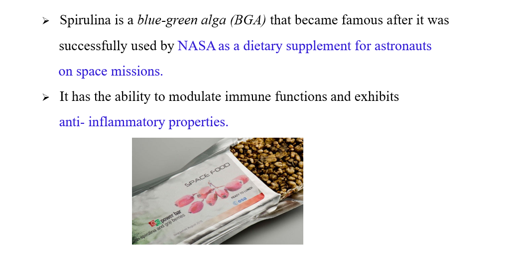 PROTEIN BAR PROTEIN BAR