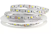 Strip 60 LEDs/Mtr (CW) Strip 60 LEDs/Mtr (CW)