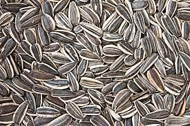 SUNFLOWER SEEDS (For birds)