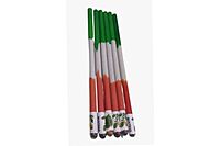 Tri Color Seed Pencils Eco-Friendly Charcoal Pencil |  wood-free pencils(Pack of 10)