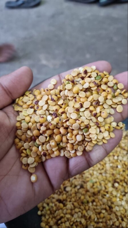 UnPolished Split Toor Dal UnPolished Split Toor Dal