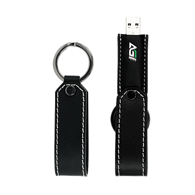 AGI High Speed Flash Drive UE238-256 GB