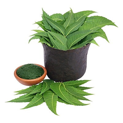 Veppilai Powder / Neem Powder Veppilai Powder / Neem Powder