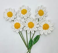 Crochet Small Daisy Flower (Bunch of 6) Crochet Small Daisy Flower (Bunch of 6)