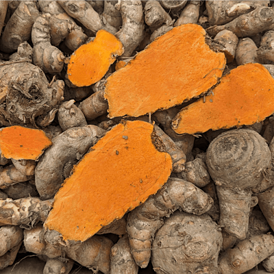 1kg Highest Curcumin Content Lakadong Turmeric Seed Rhyzomes లకాడాంగ్ పసుపు కొమ్ములు 1kg Highest Curcumin Content Lakadong Turmeric Seed Rhyzomes లకాడాంగ్ పసుపు కొమ్ములు