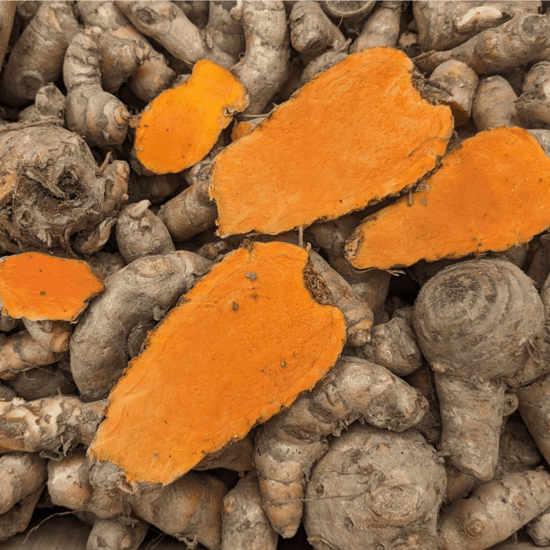 1kg Highest Curcumin Content Lakadong Turmeric Seed Rhyzomes లకాడాంగ్ పసుపు కొమ్ములు 1kg Highest Curcumin Content Lakadong Turmeric Seed Rhyzomes లకాడాంగ్ పసుపు కొమ్ములు