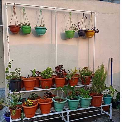 6 feet Two step Garden Stand with Frame Detachable Type Size in Inches 72(L)X23W) X64(H)